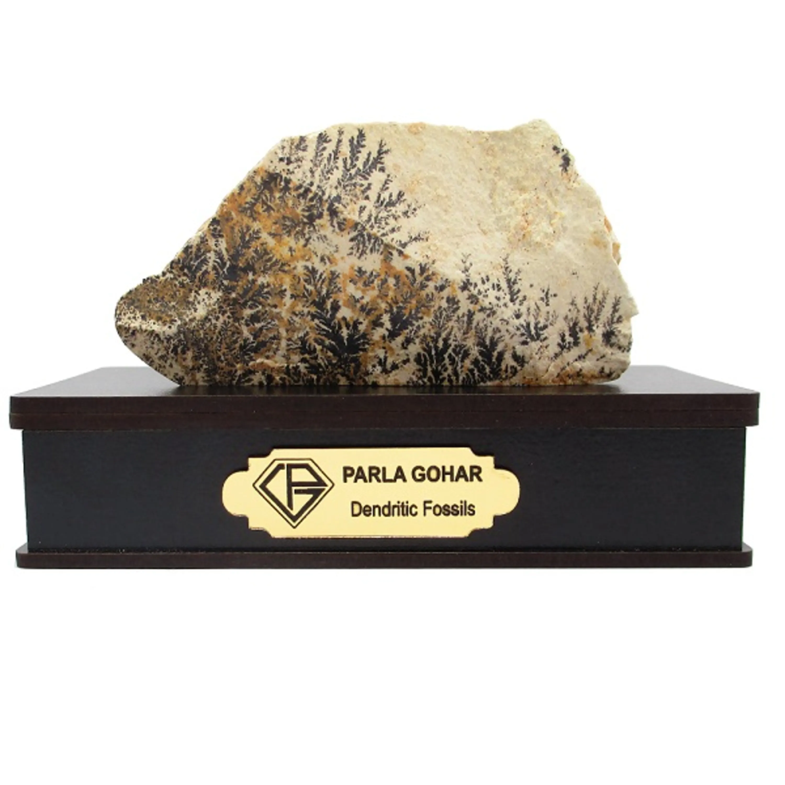 شجر راف کد 2375